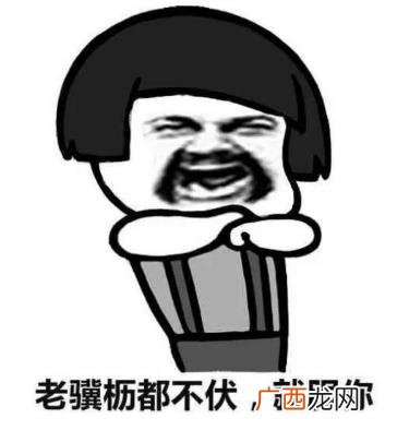 舅服你是什么梗 就服你是什么意思 舅服你相关资料出处及表情表