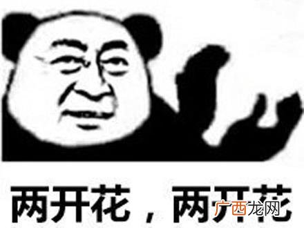 文体两开花是什么意思什么梗 六小龄童中美合拍西游记文体两开花