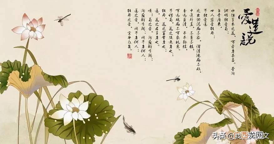 北宋周敦颐爱莲说全文意思赏析 爱莲说注释及翻译