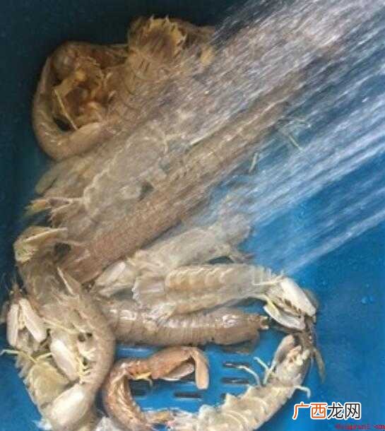 椒盐皮皮虾的制作流程是什么