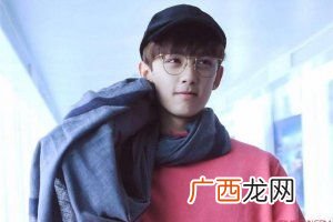 斯文败类是什么意思,网络流行语斯文败类什么意思?