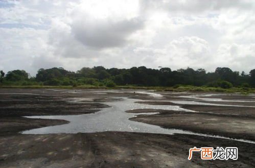 lake是什么意思英语,lake和river怎么区别？