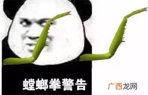 泰拳警告是什么意思什么梗 警告一次 下次泰拳