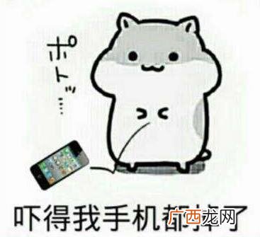 搞事情是什么意思？你这是搞事情 你不要搞事情 不要给我搞事情