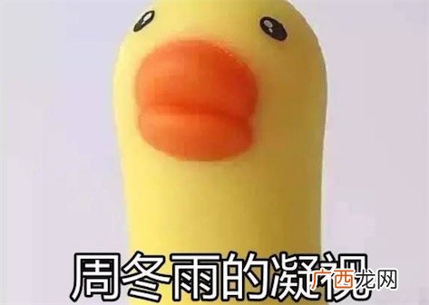 “周冬雨的凝视”是什么意思什么梗 周冬雨金马影后的凝视