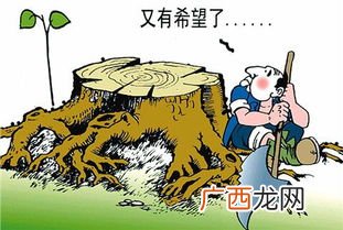 坐享其成是什么意思,以逸待劳和坐享其成的区别？