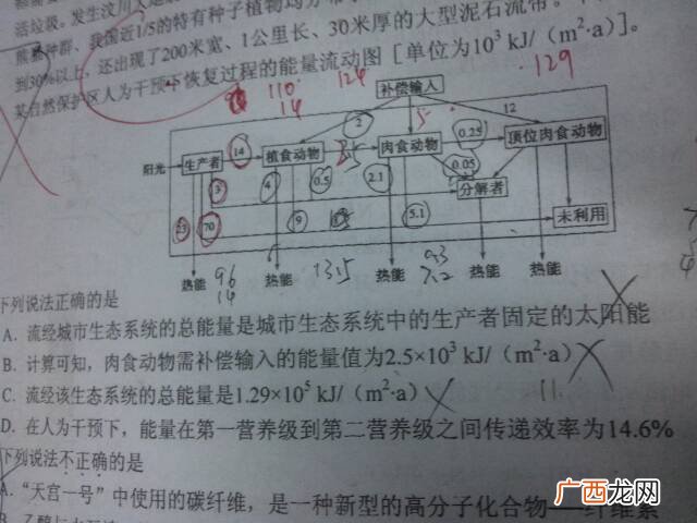 营养级不超过5的原因,高中生态系统五特性？