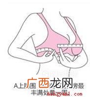 罩杯ABCD怎么分大小