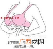 罩杯ABCD怎么分大小