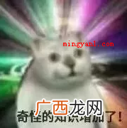 奇怪的知识增加了是什么梗?