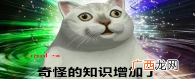奇怪的知识增加了是什么梗?