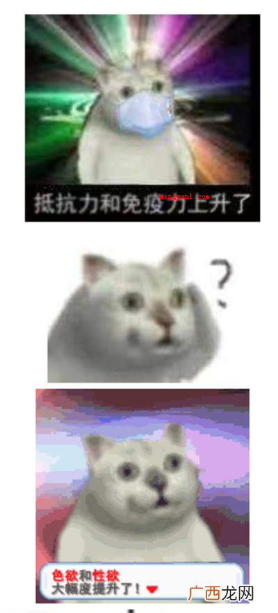 奇怪的知识增加了是什么梗?