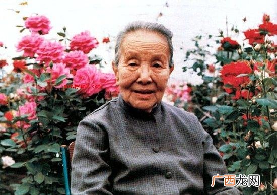 冰心的作品有哪些