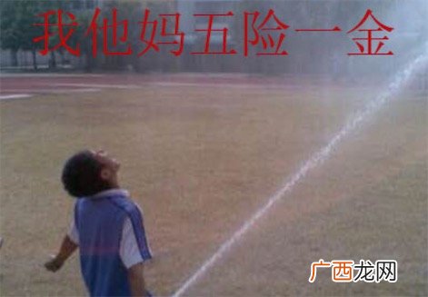 我他妈五险一金是什么意思什么梗 我tm五险一金