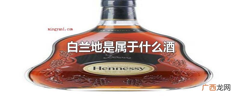 白兰地是属于什么酒