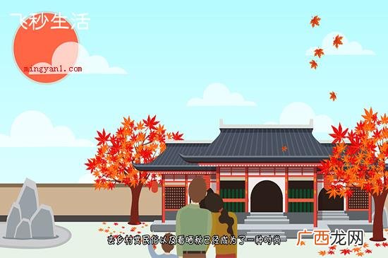 重阳节是几月几日