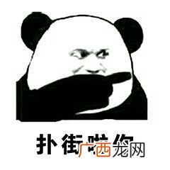 广东人骂扑街是什么意思,谁知道~扑街什么意思啊？
