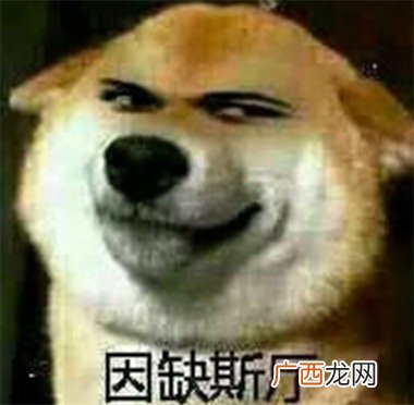 因缺思厅是什么意思什么梗 因缺思厅是interesting的谐音形式
