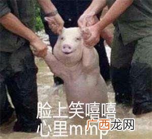 mmp是什么意思什么梗？mmp是什么的缩写？mmp/妈卖批是骂人脏话吗
