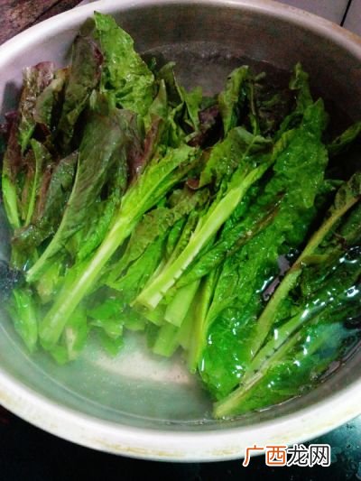 成都凤尾菜又叫什么,四川说的凤尾是什么菜？