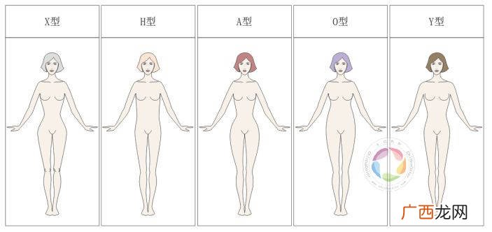 体型分类,体型的医学分类有哪些？