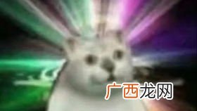 精神小伙什么意思,精神小伙的意思？