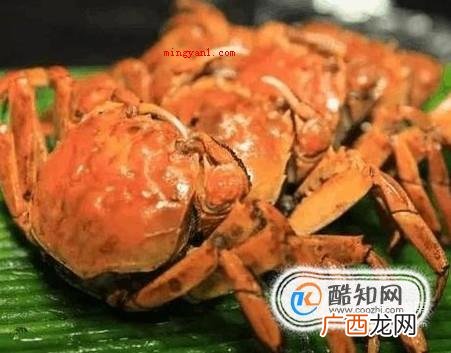 中秋节吃什么菜