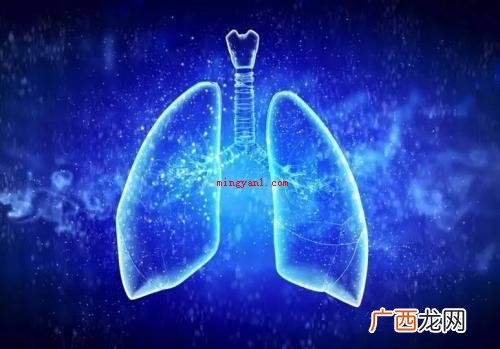 dl是什么意思