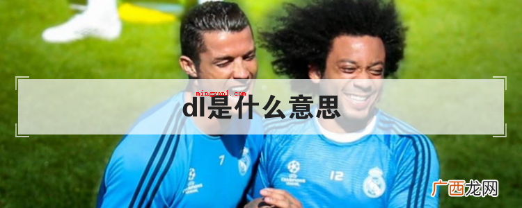 dl是什么意思