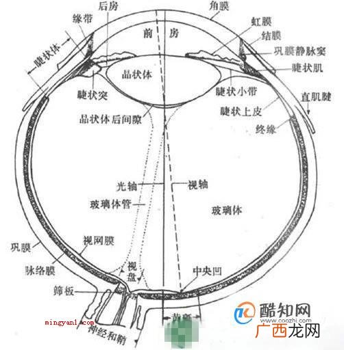 视力4.5是多少度