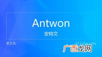 ant是什么意思英语,ant是什么词性后缀？