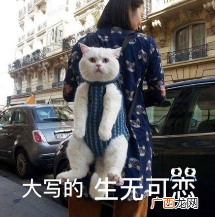 人间不值得是什么意思什么梗？丧文化网络梗：开心点朋友们，人间不值得