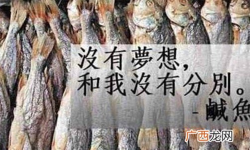 我差不多是条咸鱼了是什么意思什么梗 我差不多是条咸鱼了的含义