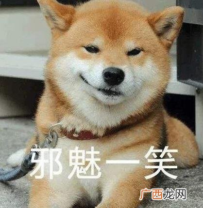 皮一下是什么意思什么梗？皮这么一下你快乐吗 “皮一下”表情包