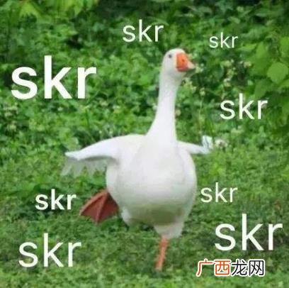 skr是什么意思什么梗？skr在嘻哈里怎么发音怎么读 吴亦凡造热词skr