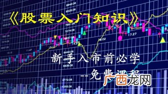 股票dr开头是什么意思,股票名称后标注R是什么意思？