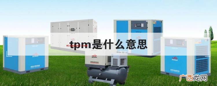 tpm是什么意思