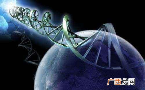 人类是碳基生命吗,人类是锂基生物吗？