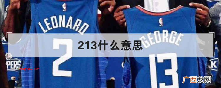 213什么意思