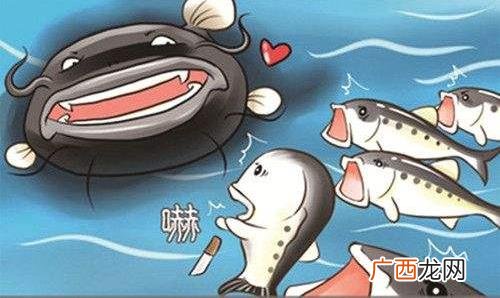 效应是什么意思?20个著名效应 78种经典效应定律大全