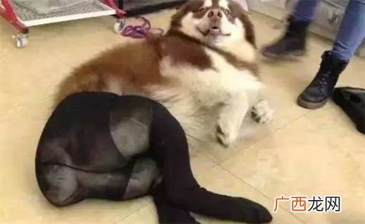 辣眼睛是什么意思什么梗 太辣眼睛了的含义及出处