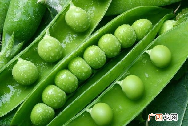 豌豆发芽能吃吗,豌豆芽的豆子能吃吗？