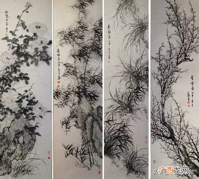 梅花代表的象征意义和精神 梅花的花语和寓意象征