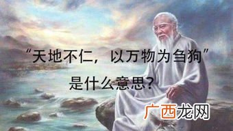 刍狗是什么意思啊,谁给我解释下“天地不仁，以万物为绉狗”这句话的意思？