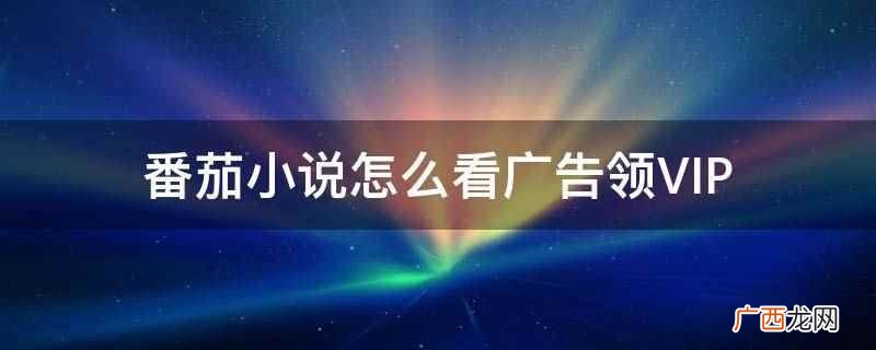 抖音免费网文阅读APP 番茄小说怎么看广告领VIP