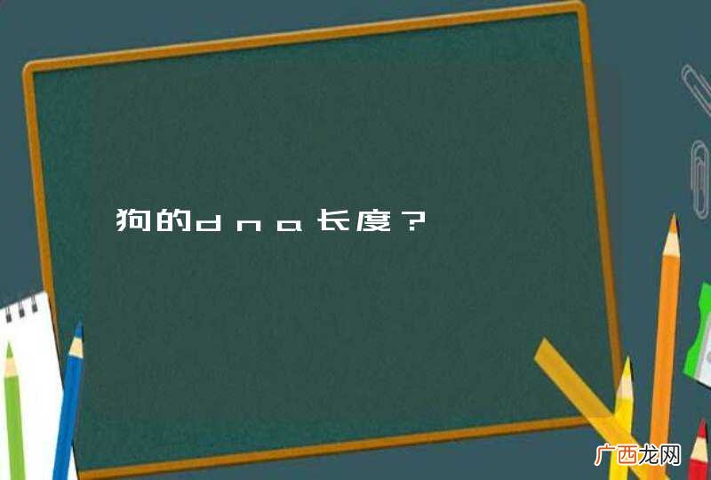 狗的dna长度？