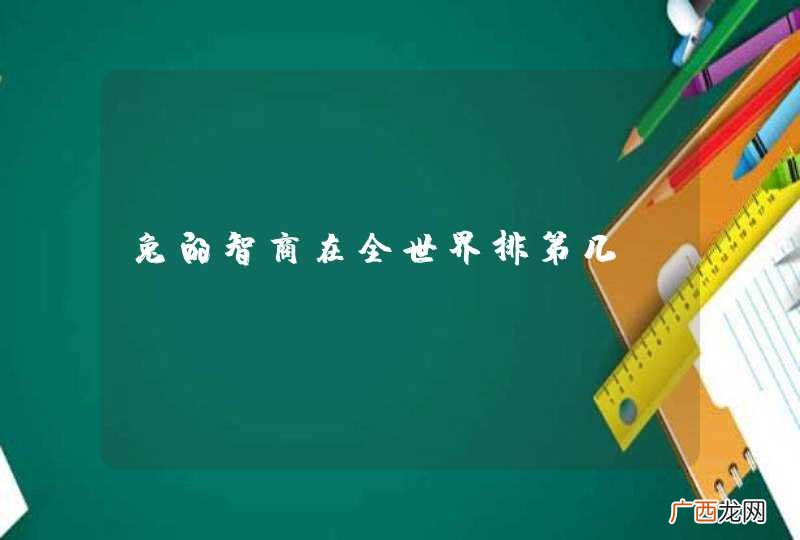 兔的智商在全世界排第几？