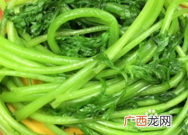 菊花菜的做法,菊花菜的家常做法？