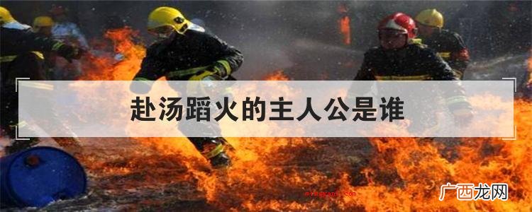 赴汤蹈火的主人公是谁
