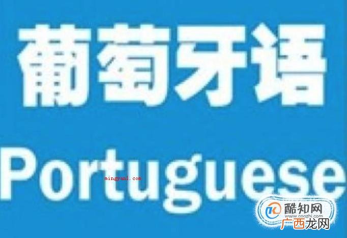 南美洲国家都说什么语言